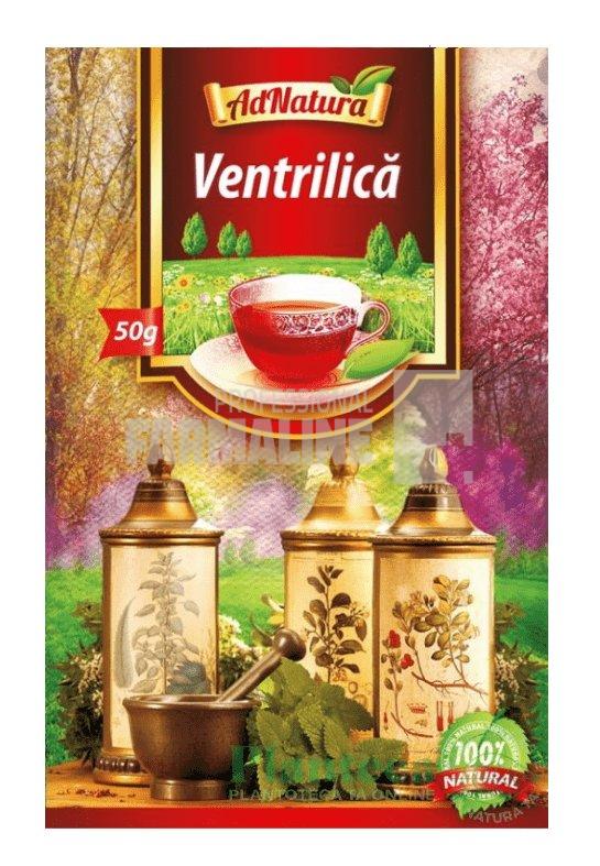 Ceai ventrilica 50 g 1 Ceai ventrilica 50 g