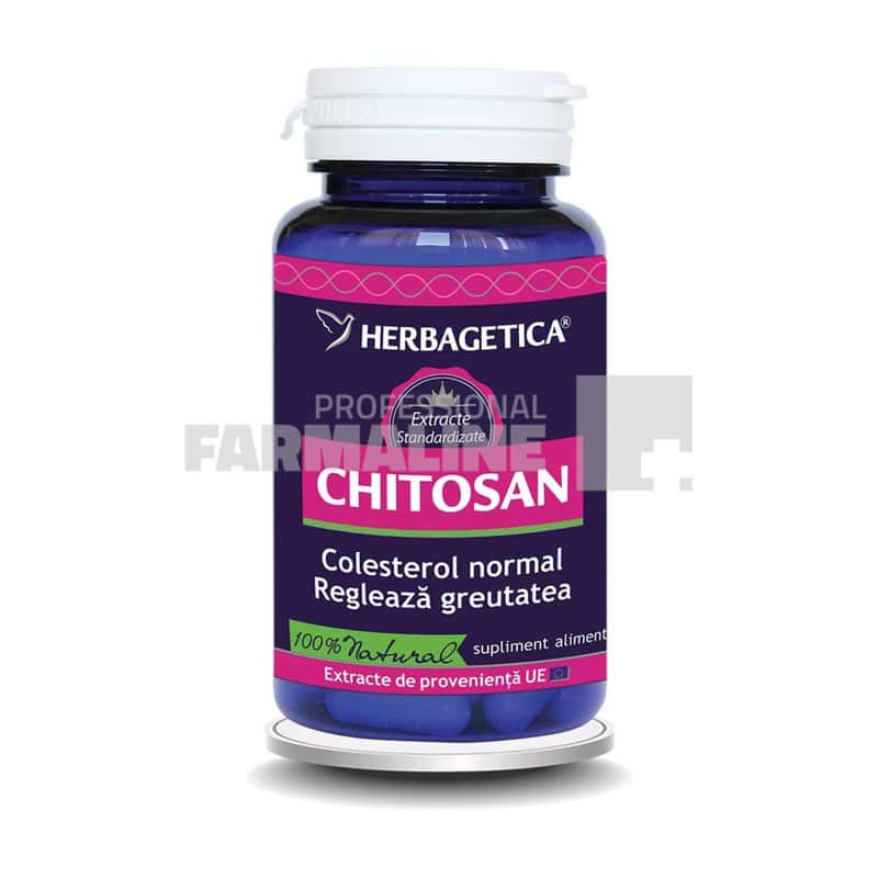 Chitosan 60 capsule