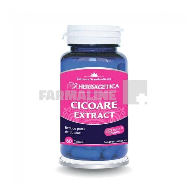 Cicoare extract 60 capsule