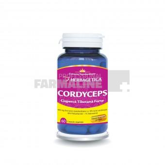 Cordyceps 10/30/1 Ciuperca Tibetana Forte 60 capsule