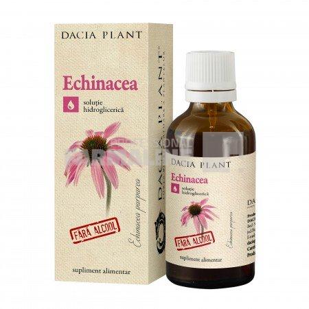 Dacia Plant Echinacea tinctura fara alcool 50 ml