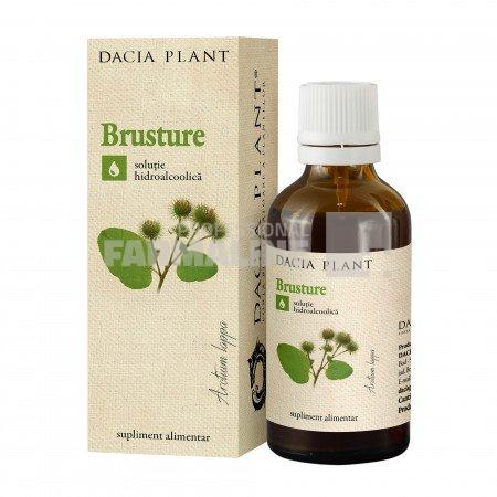 Dacia Plant Tinctura de Brusture 50 ml
