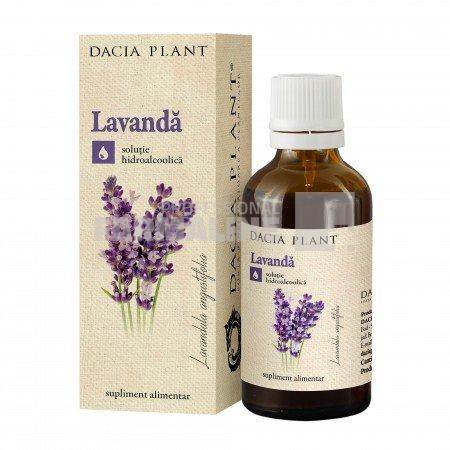 Dacia Plant Tinctura de Lavanda 50 ml