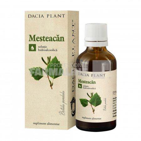 Dacia Plant Tinctura de Mesteacan solutie hidroalcoolica 50 ml