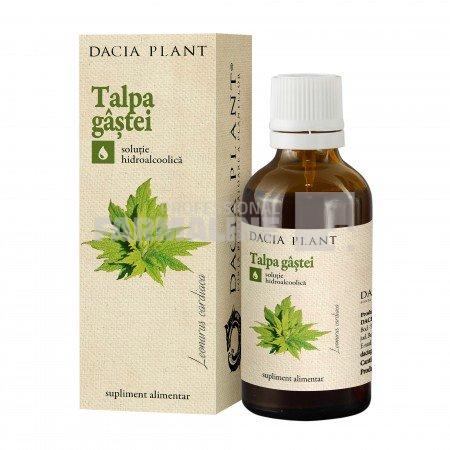 Dacia Plant Tinctura de Talpa Gastei 50 ml