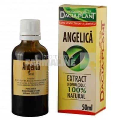 Dacia Plant Tinctura de angelica 50 ml 1 Dacia Plant Tinctura de angelica 50 ml