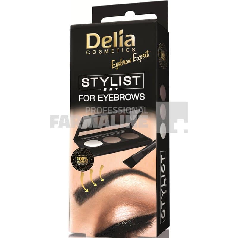 Delia Set Sprancene stilist expert 2 farduri pudra + ceara + pensula