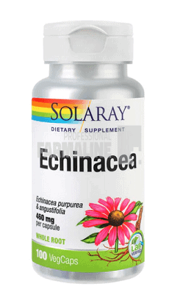 Echinacea 100 capsule