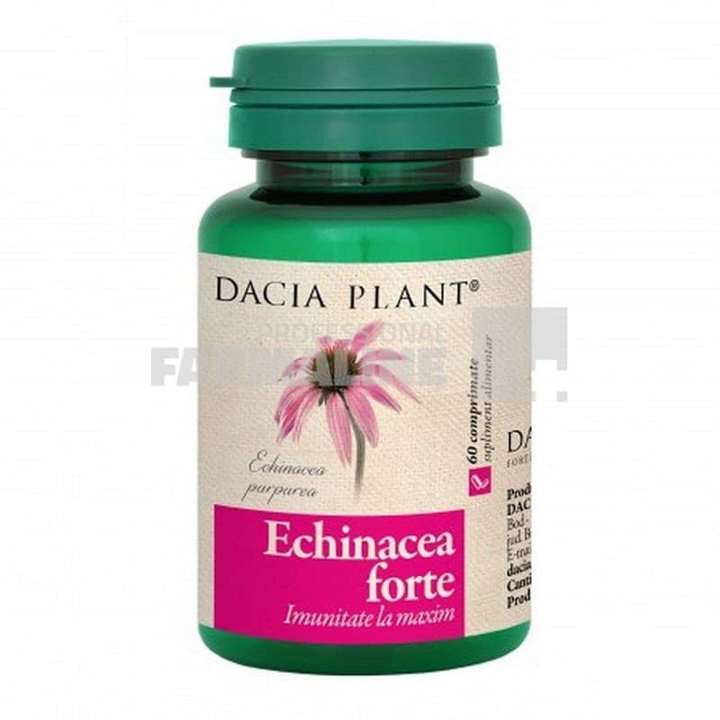 Echinacea Forte 60 comprimate