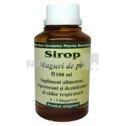 Elidor Sirop muguri de Pin 100 ml