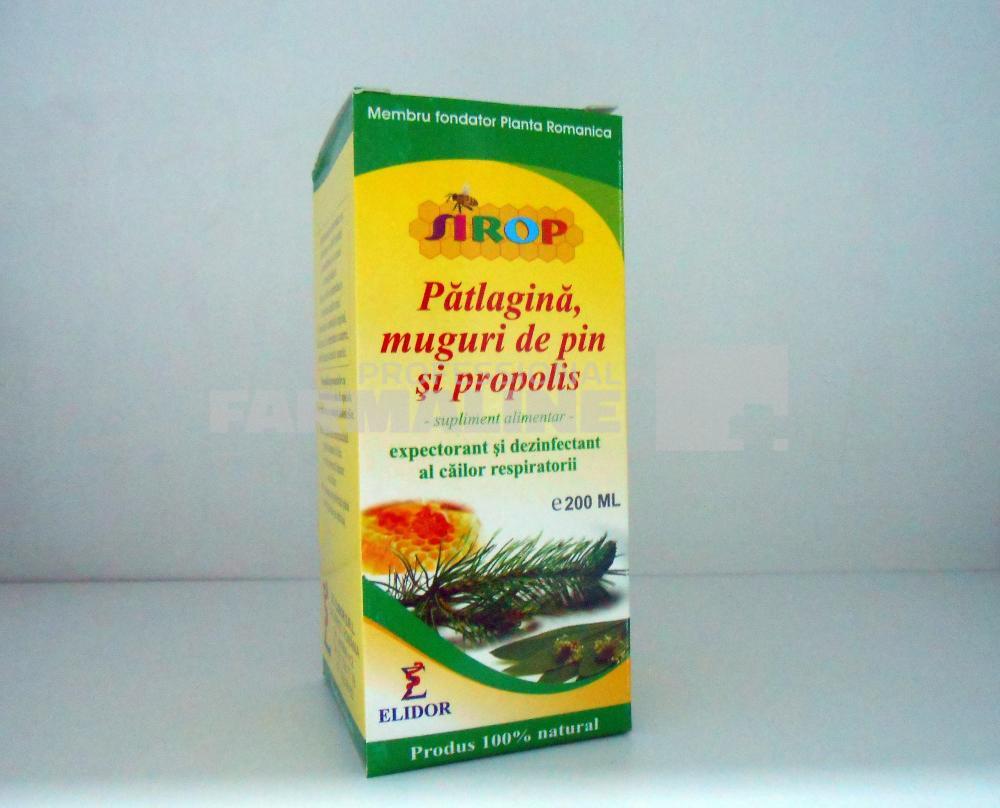 Elidor Sirop patlagina muguri de pin si propolis 200 ml 1 Elidor Sirop patlagina muguri de pin si propolis 200 ml – ofertă, preț și specificații
