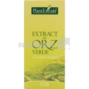Extract Hidro-glicero-alcoolic de Orz verde 120 ml