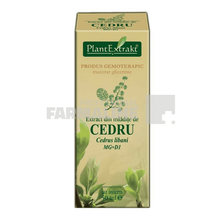 Extract de cedru - macerat glicerinic 50 ml