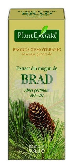 Extract din muguri de Brad 50 ml