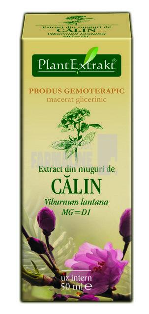 Extract din muguri de Calin 50 ml 1 Extract din muguri de Calin 50 ml