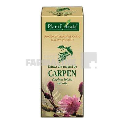 Extract din muguri de Carpen 50 ml