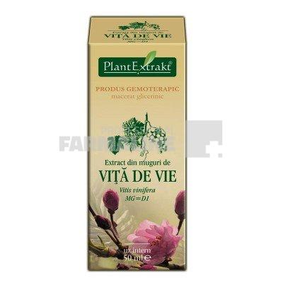 Extract din muguri de Vita de Vie 50 ml