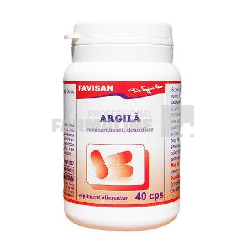 Favisan Argila 40 capsule
