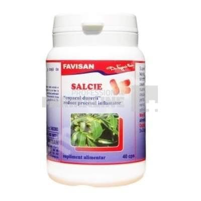 Favisan Salcie 40 capsule