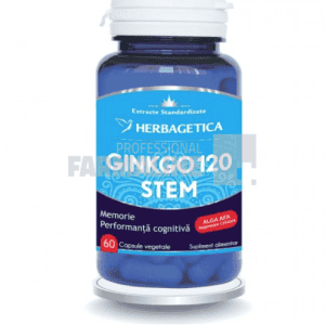Ginkgo 120 Stem 60 capsule