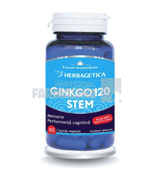 Ginkgo 120 Stem 60 capsule 1 Ginkgo 120 Stem 60 capsule