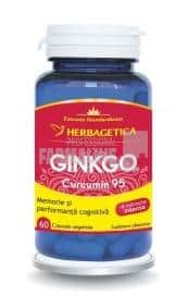 Ginkgo Curcumin95 60 capsule