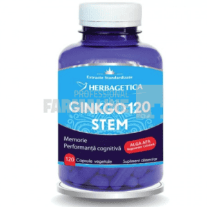 Ginko 120 Stem 120 capsule