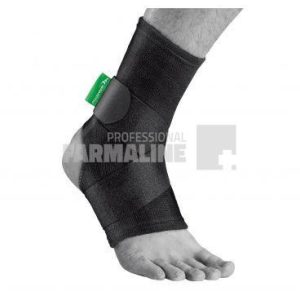 Glezniera elastica - mediroyal ''S''