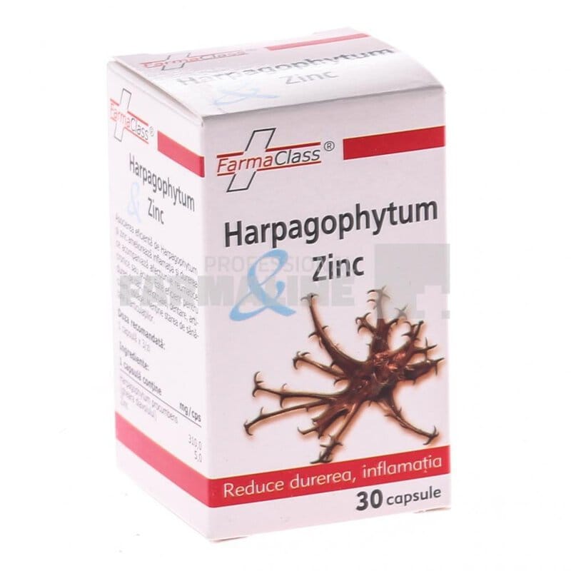Harpagophytum & Zinc 30 capsule