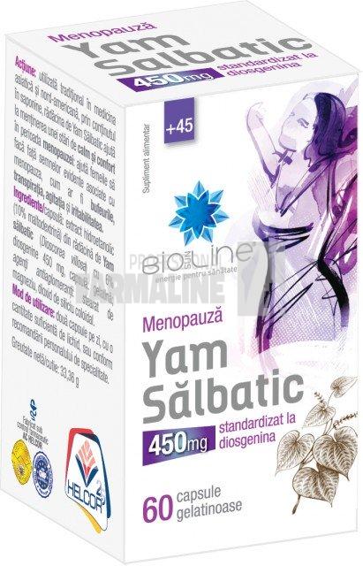 Helcor Yam salbatic 450 mg 60 capsule gelatinoase 1 Helcor Yam salbatic 450 mg 60 capsule gelatinoase