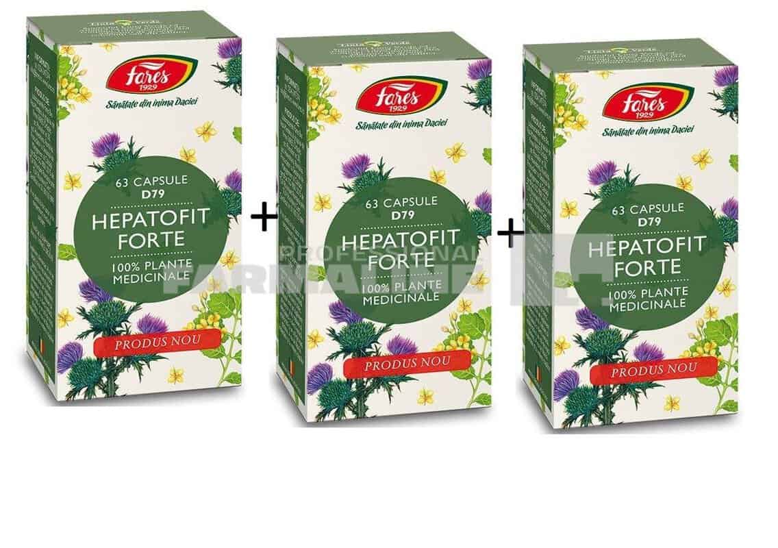 Hepatofit Forte D79 63 capsule 2+1 Gratis 1 Hepatofit Forte D79 63 capsule 2+1 Gratis