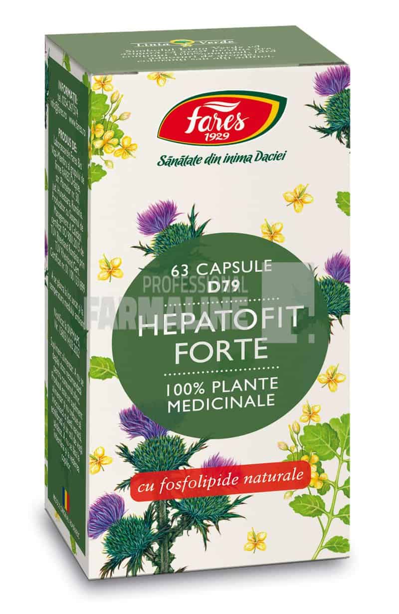 Hepatofit Forte D79 63 capsule 1 Hepatofit Forte D79 63 capsule