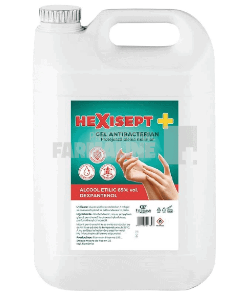 Hexisept Gel Dezinfectant pentru maini 10 litri 1 Hexisept Gel Dezinfectant pentru maini 10 litri