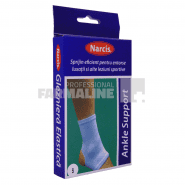 Narcis Glezniera elastica L