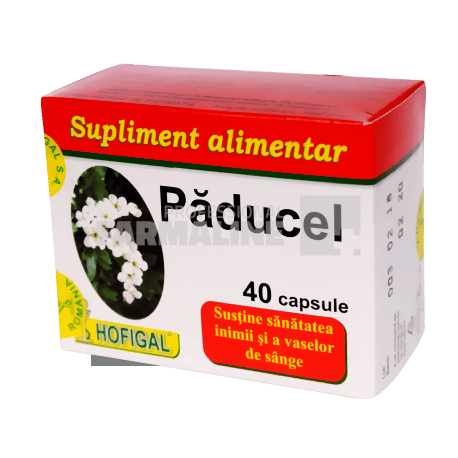 Paducel 40 capsule