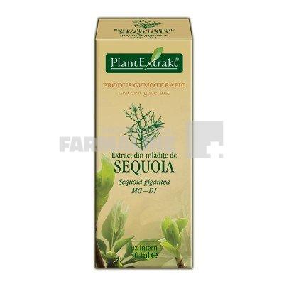 PlantExtrakt Extract din mladite de Sequoia 50 ml