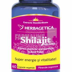 Shilajit Mumio 60 capsule