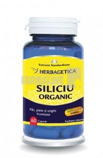 Siliciu Organic 60 capsule