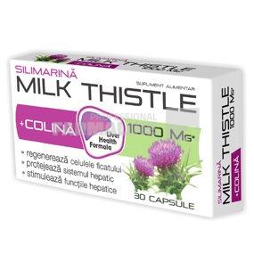 Silimarina Milk Thistle + Colina 1000 mg 30 capsule