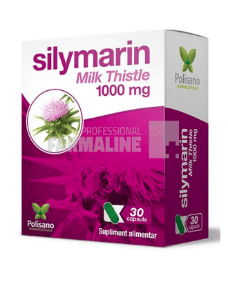 Silymarin Milk Thistle 1000 mg 30 capsule 1 Silymarin Milk Thistle 1000 mg 30 capsule