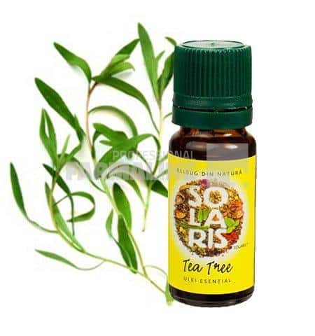 Solaris Plant Ulei esential Tea Tree 10 ml 1 Solaris Plant Ulei esential Tea Tree 10 ml