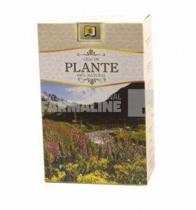 StefMar Ceai Lavanda 50 g