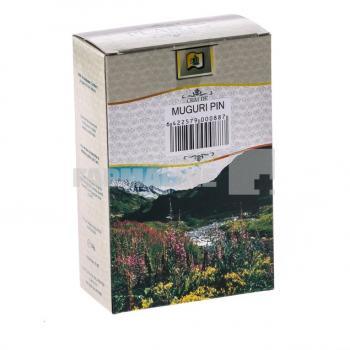 StefMar Ceai Muguri de Pin 50 g