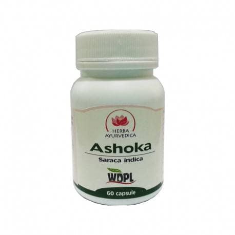 Ashoka 500mg