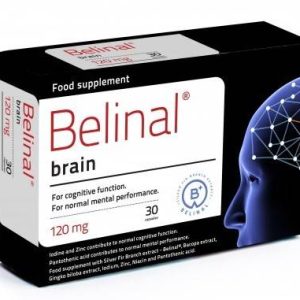 Brain