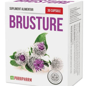 Brusture