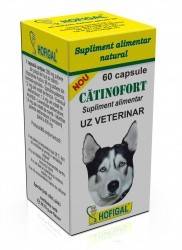 Catinofort 60cps- uz veterinar - Hofigal