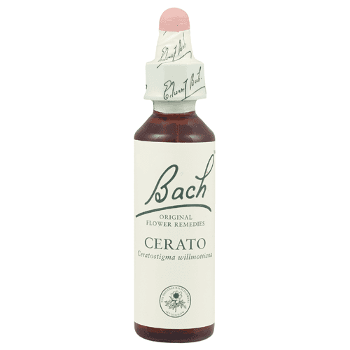 Cerato ( Bach5 ) 20ml - Remediu Floral Bach