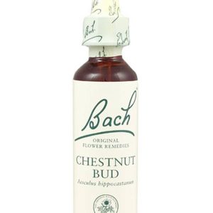 Chestnut Bud - Castan salbatic (Bach7) 20ml - Remediu Floral Bach