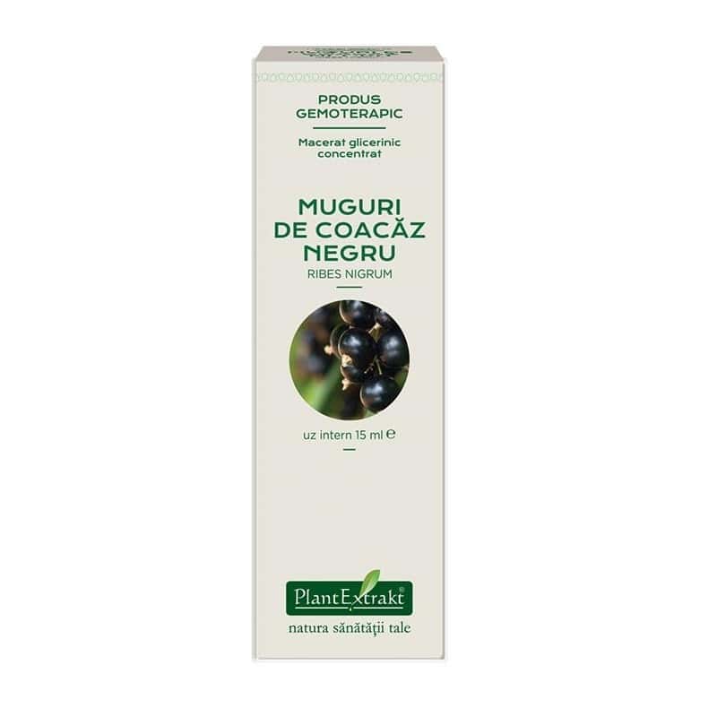Coacaz Negru concentrat - muguri - gemoderivat - 15 ml - PlantExtrakt